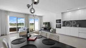 For sale penthouse in Cancelada