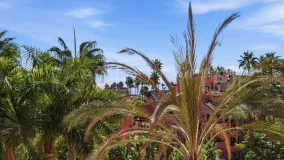 Las Salinas, apartamento en venta de 2 dormitorios