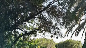 For sale Istan 1 bedroom apartment
