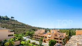 Elviria penthouse for sale
