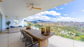 Buy Palo Alto apartment