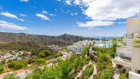 Buy Palo Alto apartment