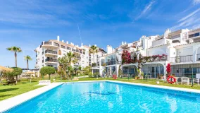 Buy 2 bedrooms ground floor duplex in Calahonda