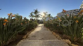 Buy Nueva Andalucia apartment