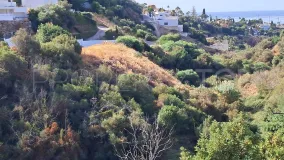 For sale plot in El Rosario