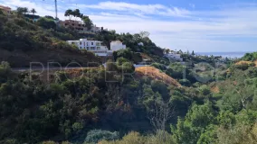 For sale plot in El Rosario