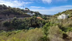 For sale plot in El Rosario