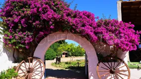 Hacienda en venta en Cales de Mallorca