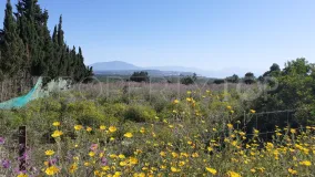 For sale Alcaidesa Alta plot