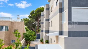 For sale Ibiza 12 bedrooms building