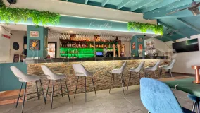 Arenal business for sale