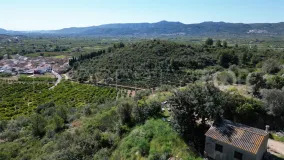 Parcela a la venta en Ráfol de Almunia