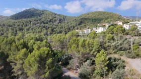 Orba plot for sale