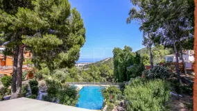 Hotel for sale in Oliva