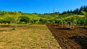 Finca for sale in Estepona