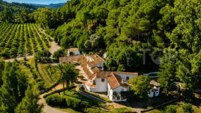 Finca en venta de 8 dormitorios en Casares