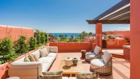 For sale penthouse in Torre Bermeja