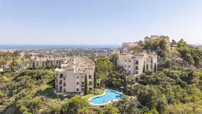 Buenavista 3 bedrooms penthouse for sale