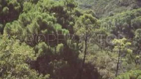 Comprar parcela en El Velerin