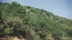 Plot in El Velerin for sale
