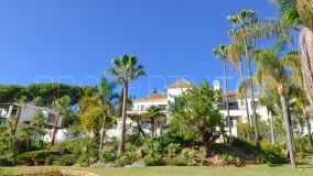Villa en venta en Paraiso Alto con 16 dormitorios
