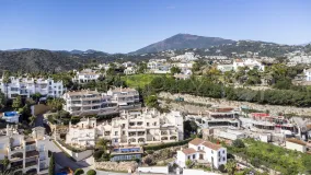 Buy duplex penthouse in Los Almendros