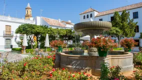 Parcela a la venta en Puerto Romano