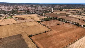 For sale plot in Santanyi