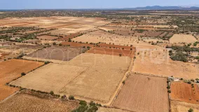 For sale plot in Santanyi