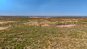 Plot for sale in Santanyi