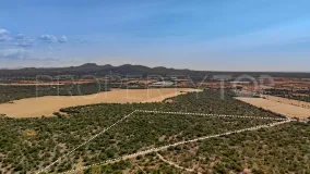 Plot for sale in Santanyi