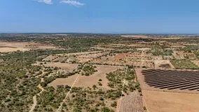 Plot in Santanyi for sale
