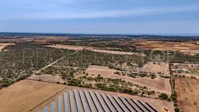Plot in Santanyi for sale