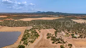 Plot in Santanyi for sale
