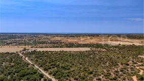 Plot in Santanyi for sale