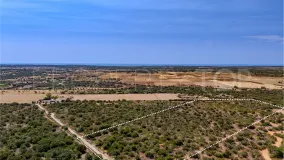 Plot in Santanyi for sale