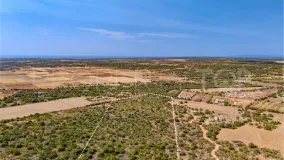 Plot in Santanyi for sale