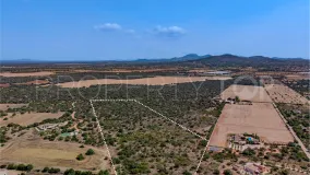 Plot in Santanyi for sale