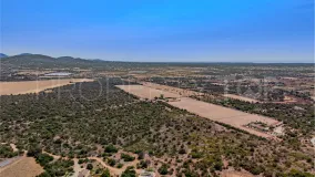 For sale plot in Santanyi