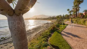 3 bedrooms Estepona penthouse for sale