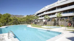 Buy 2 bedrooms apartment in El Higueron