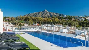 Nueva Andalucia, apartamento de 2 dormitorios en venta
