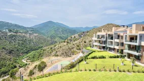 Comprar apartamento en La Quinta