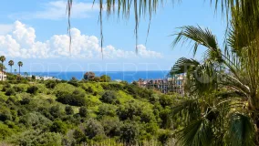 For sale Duquesa Village 2 bedrooms penthouse