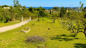 For sale finca in Guadalmansa
