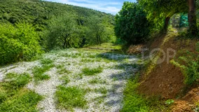 Comprar parcela en Estepona
