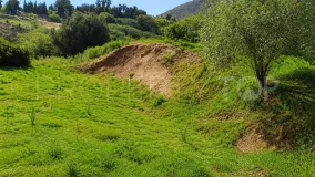 Comprar parcela en Estepona