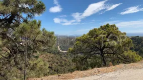 For sale plot in El Madroñal