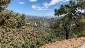 For sale plot in El Madroñal