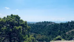 For sale plot in El Madroñal